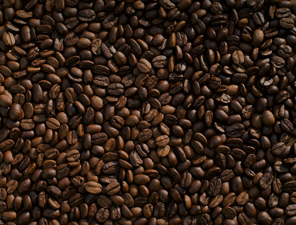 Grains de café camerounais
