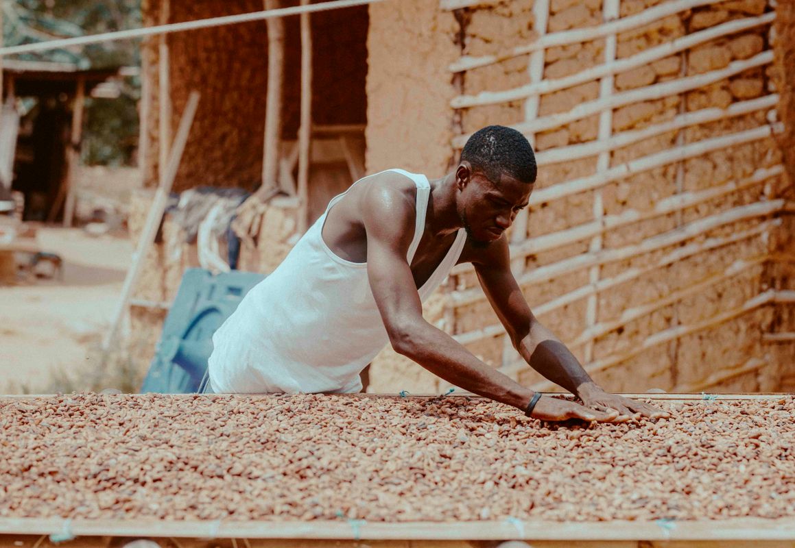 Contrôle qualité cacao