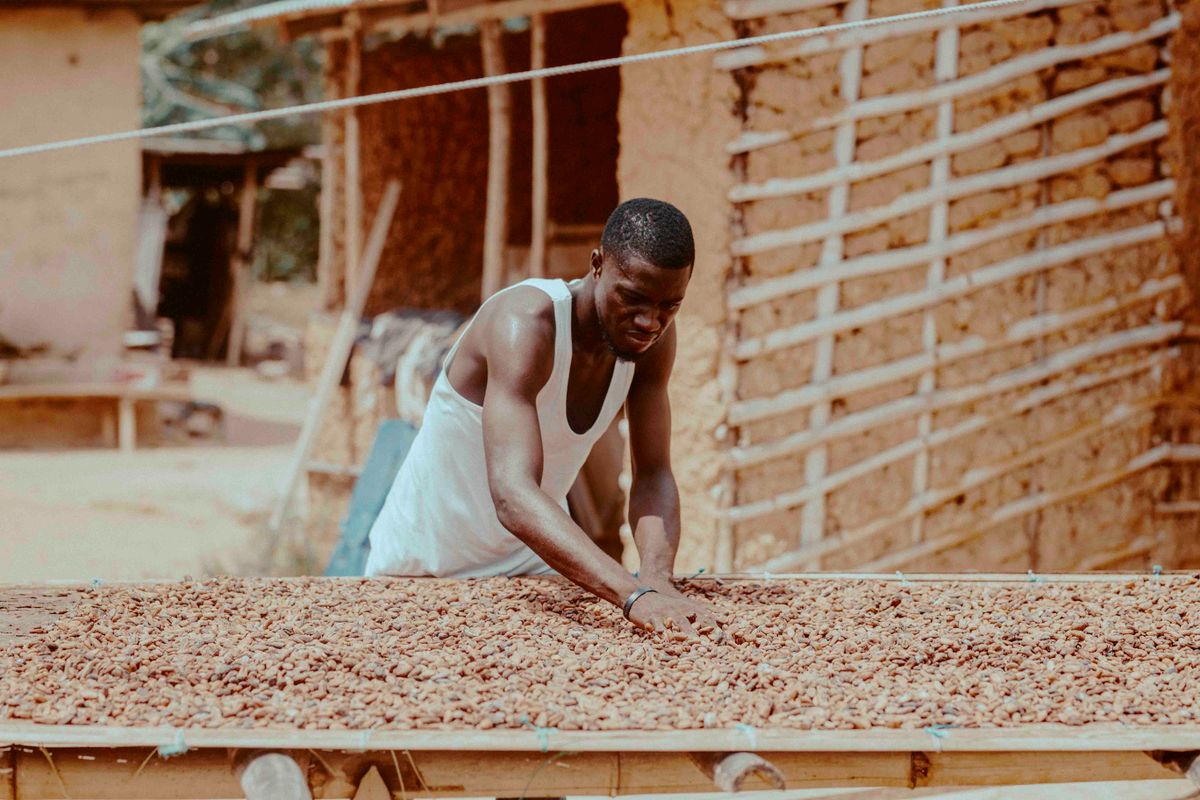 Producteurs membres